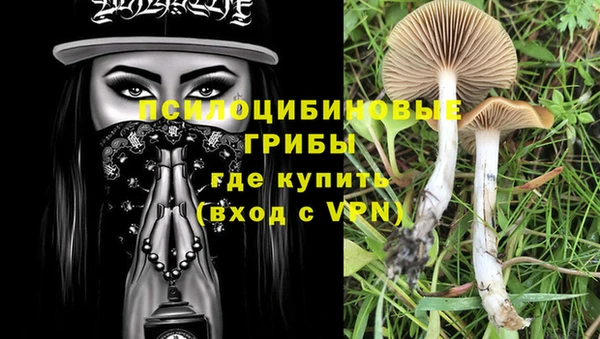 бошки Кодинск