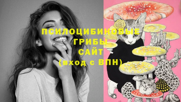 бошки Кодинск