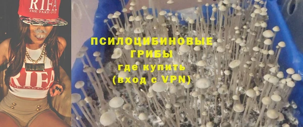бошки Кодинск