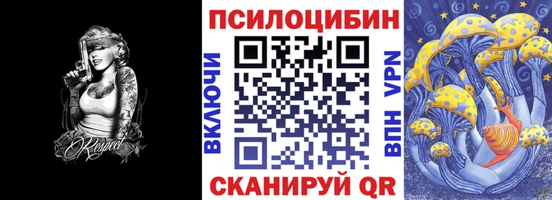 сколько стоит  Чекалин  Галлюциногенные грибы Magic Shrooms 